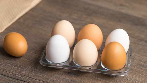 Висиджування куркою яєць